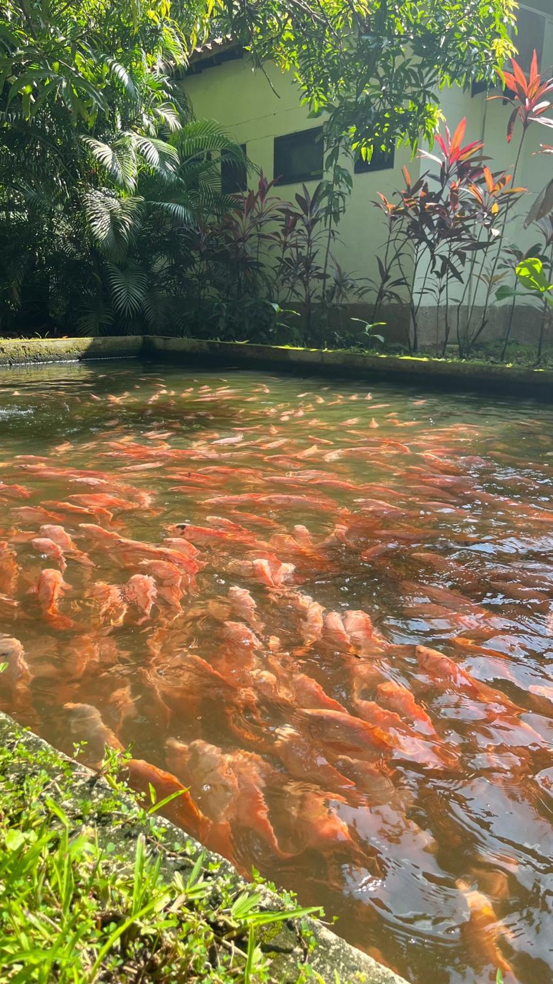 Kantawa Eco Spa Hotel Calabazo  Bagian luar foto